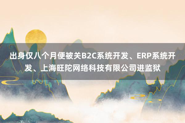 出身仅八个月便被关B2C系统开发、ERP系统开发、上海旺陀网络科技有限公司进监狱