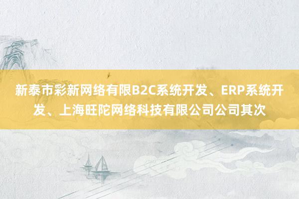 新泰市彩新网络有限B2C系统开发、ERP系统开发、上海旺陀网络科技有限公司公司其次