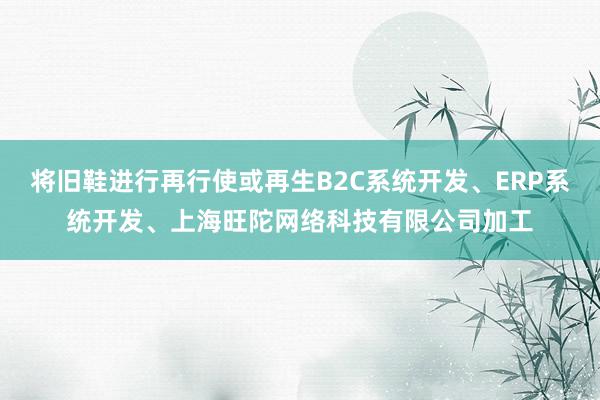 将旧鞋进行再行使或再生B2C系统开发、ERP系统开发、上海旺陀网络科技有限公司加工